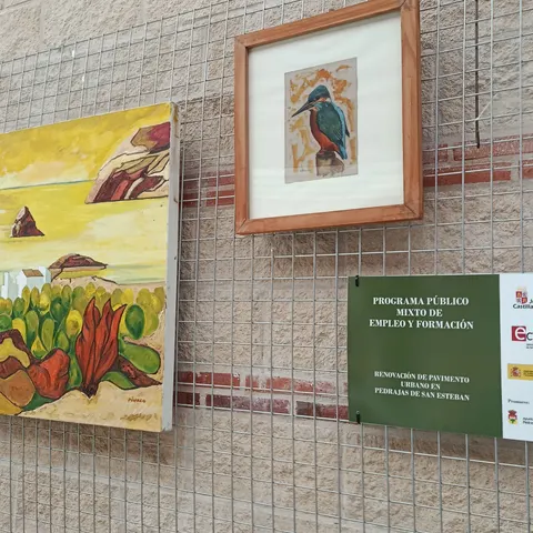 Pedrajas de San Esteban — foto
