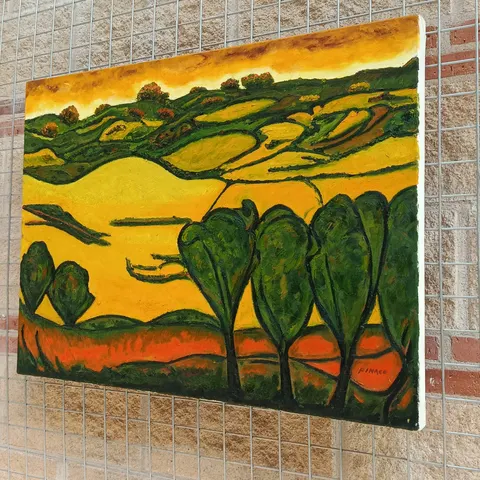 Pedrajas de San Esteban — foto