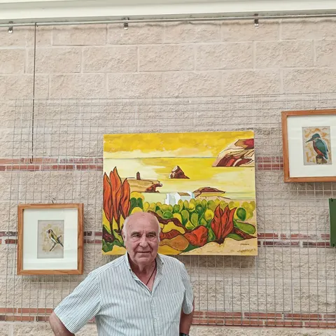 Pedrajas de San Esteban — foto